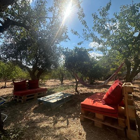 B&B Villa Tiziana Monopoli Kültér fotó