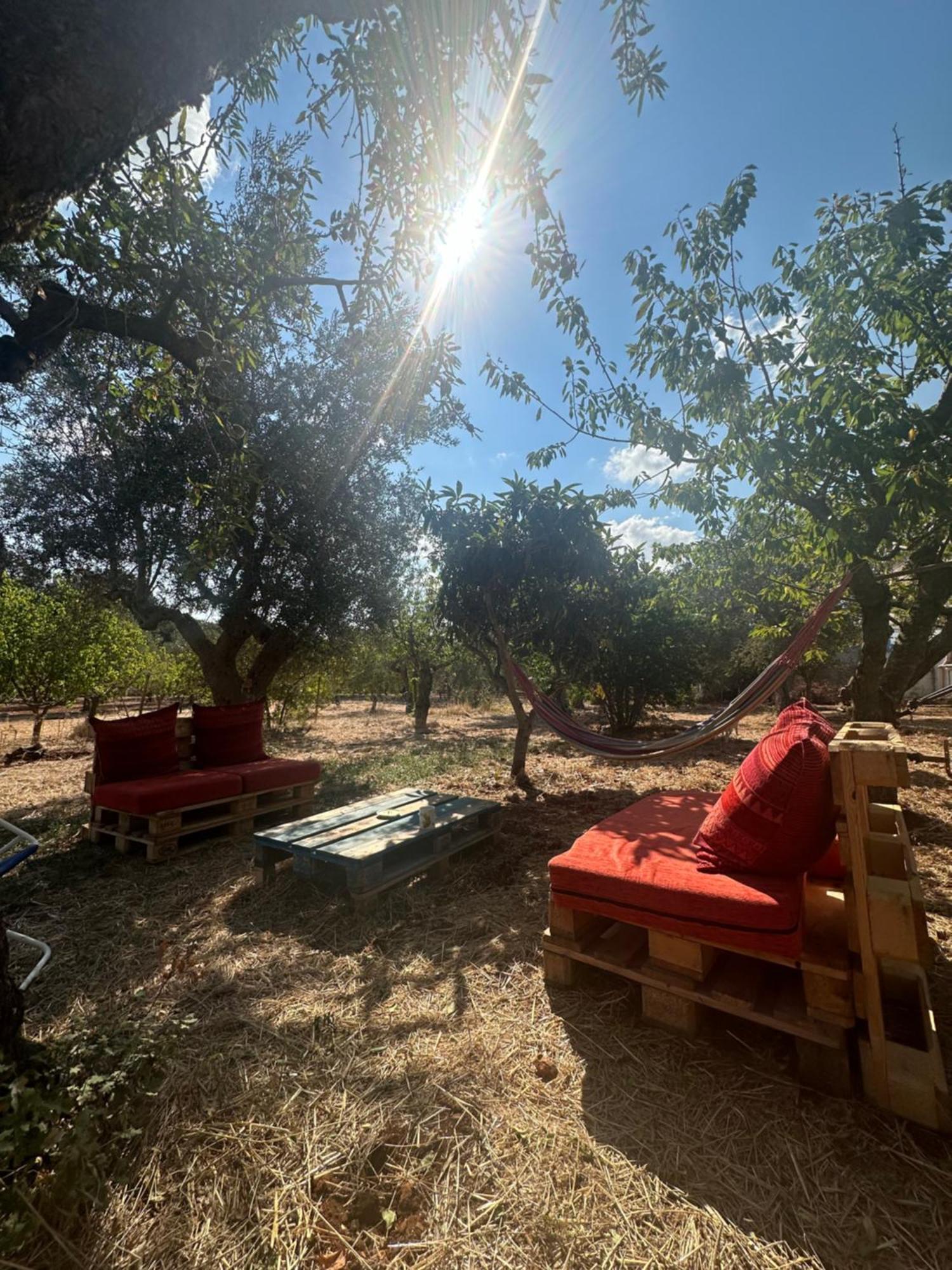 B&B Villa Tiziana Monopoli Kültér fotó
